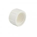 Заглушка наружняя (с внутренней резьбой) 1", АБС пластик, цвет БЕЛЫЙ.
