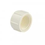 Заглушка наружняя (с внутренней резьбой) 3/4, АБС пластик, цвет БЕЛЫЙ.